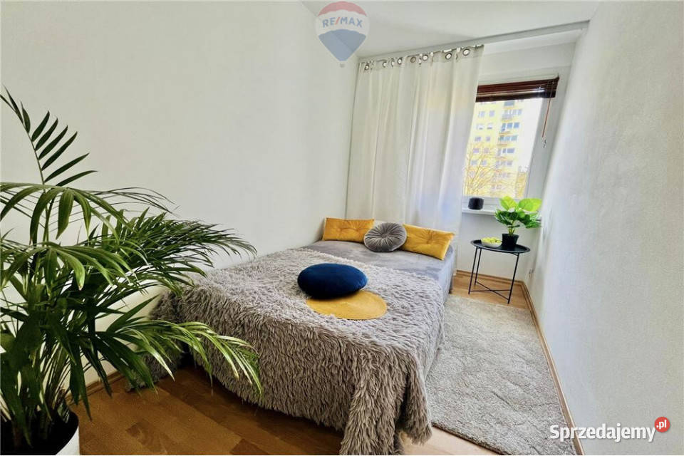 Komfortowe 3 pokoje do wynajęcia Zielona Góra