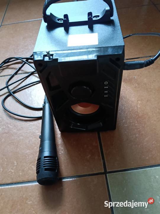 Głośnik do kraroke do śpiewania dwudrożne Car audio lubelskie