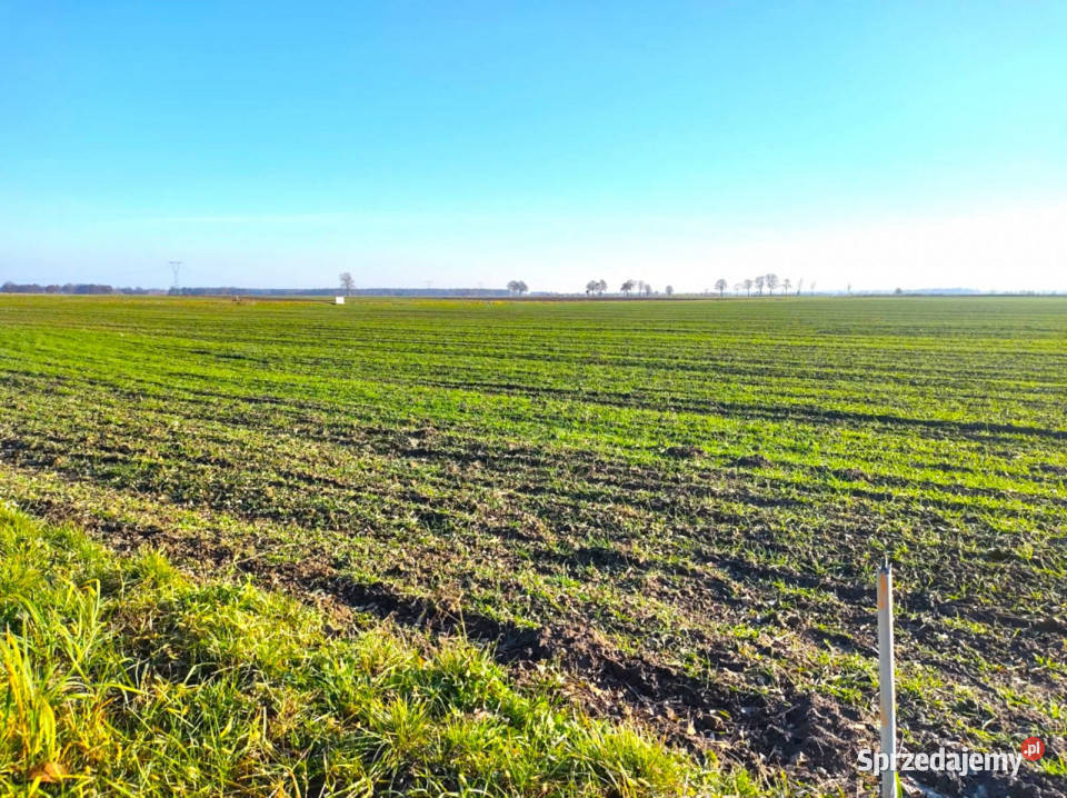 sprzedaży gruntu Garbów 2200m2 sprzedam