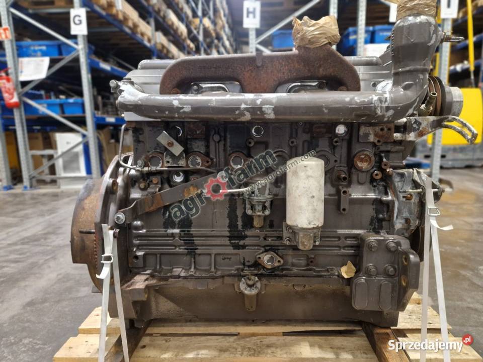 Silnik Massey Ferguson 3080 Perkins A6354 Byków