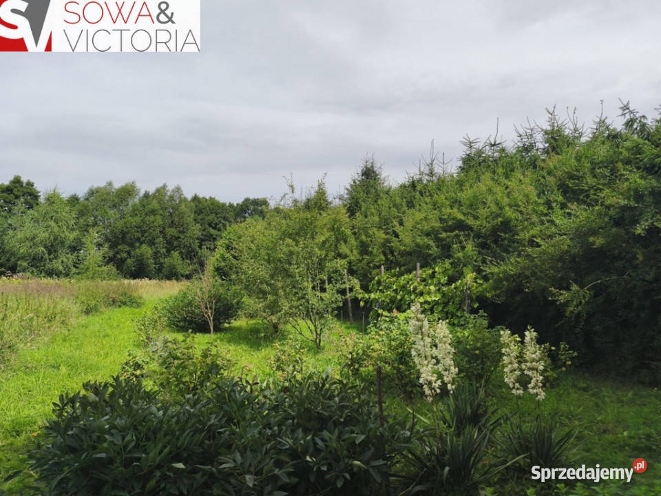 Zagospodarowana działka z sadem prąd na działce Dziećmorowice