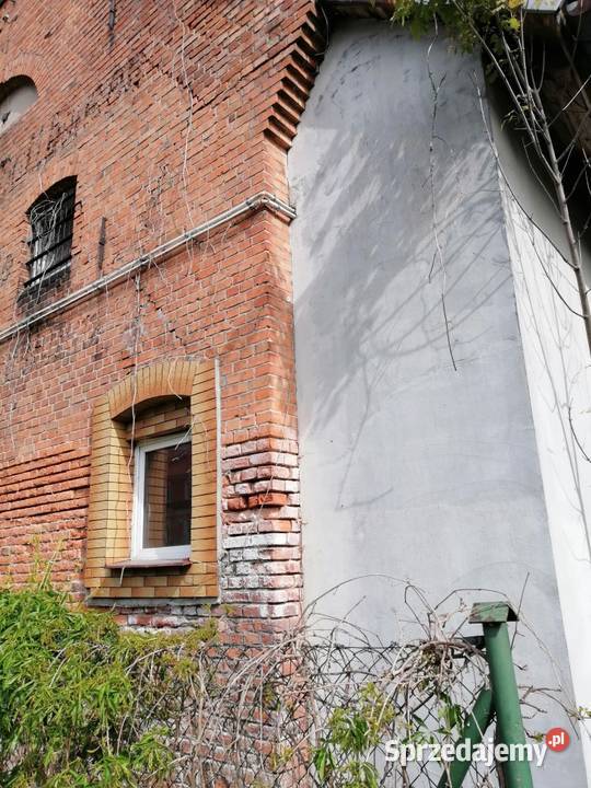 12 udziału w lokalu niemieszkalnym Syndyka Sprzedaż Prabuty sprzedam