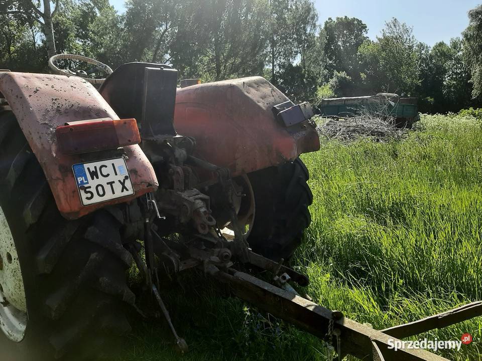Ursus360 Mława