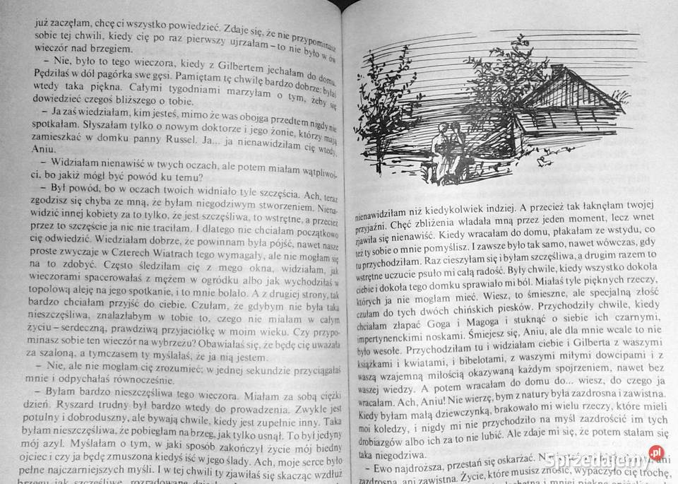 Wymarzony dom Ani Lucy Maud Montgomery Pozostałe Chełm sprzedam