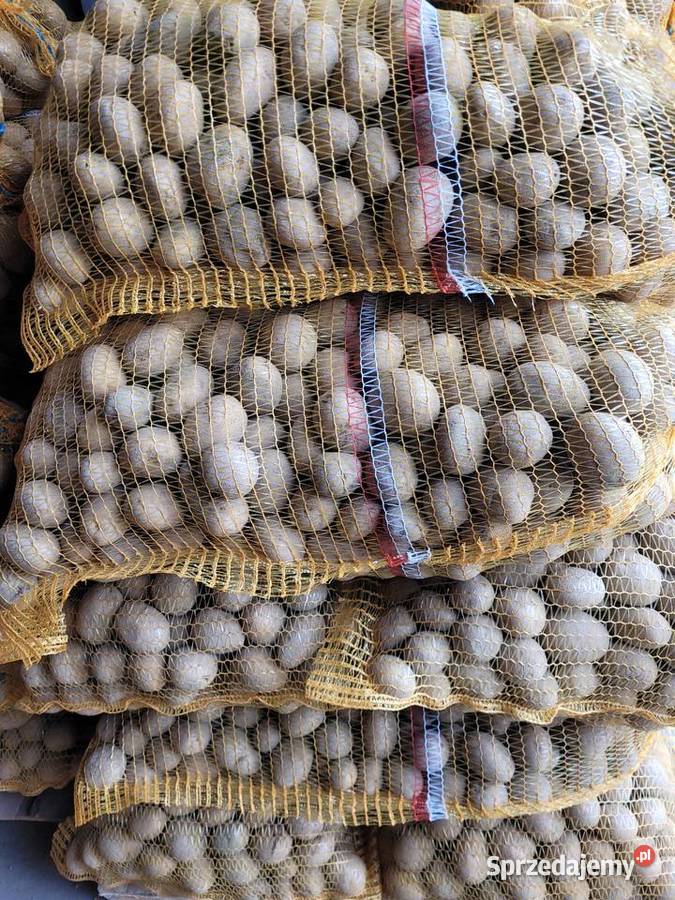 Ziemniaki lillyDenar jelly corina