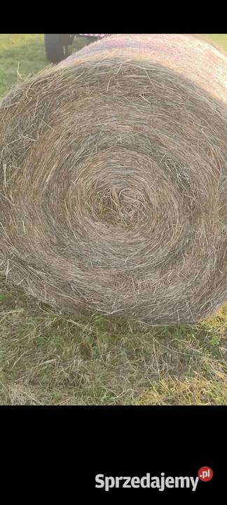 Siano suche z pod dachu Transport FV Budzyń