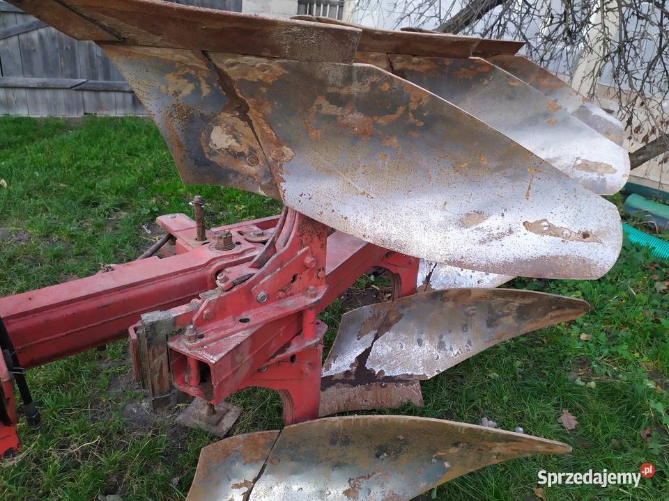 pług international case 3 Niedarczów Górny-Kolonia sprzedam