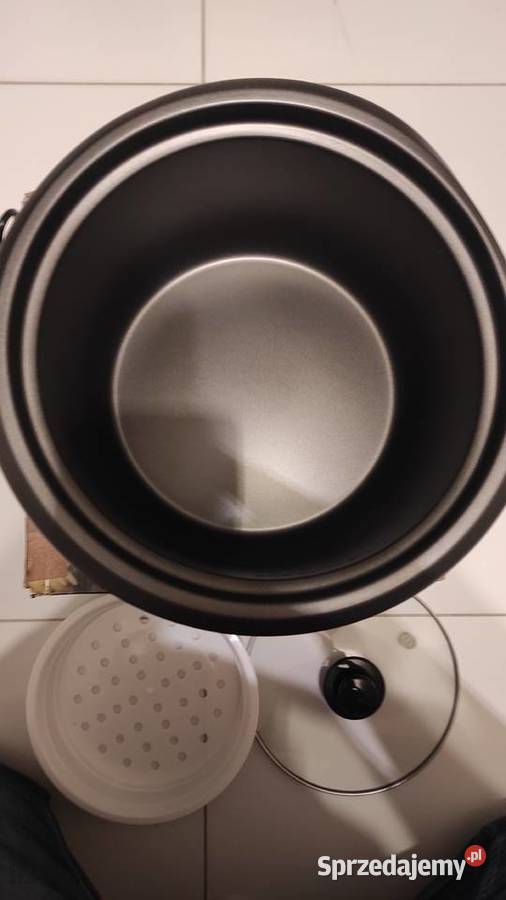 Garnek do ryżu Russell Hobbs 1975056 18l 700 W podkarpackie Żyraków