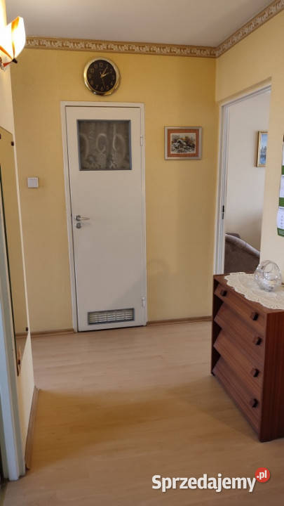 Mieszkanie 3 pokojowe 4787 m2 piętro 4 Włocławek Liczba pokoi 3