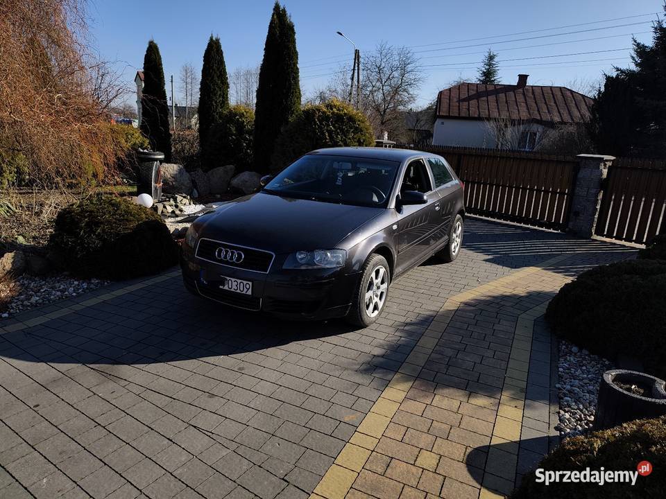Audi a3 8p 16 mpi A3 Radzyń Podlaski sprzedam