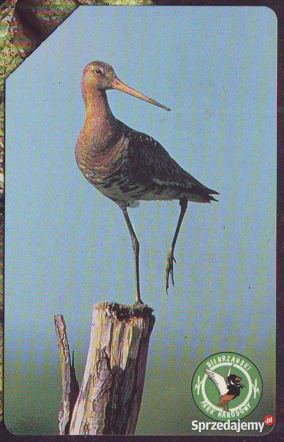 Kart telef Ptak Rycyk Gliwice sprzedam