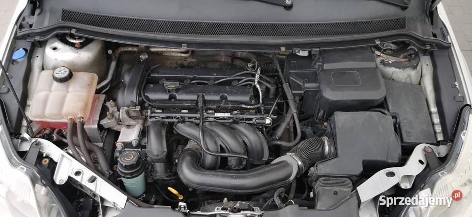 Ford Focus 2008r 16 16V 101 sprawna klimazero Poznań sprzedam