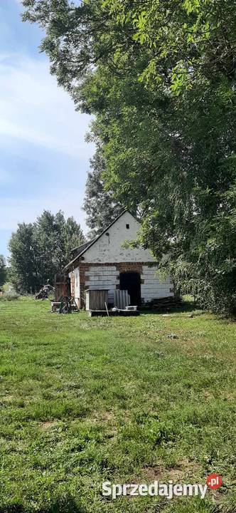 Siedlisko z domem całorocznym letniskowym mieszkalny Sprzedaż Chorzele