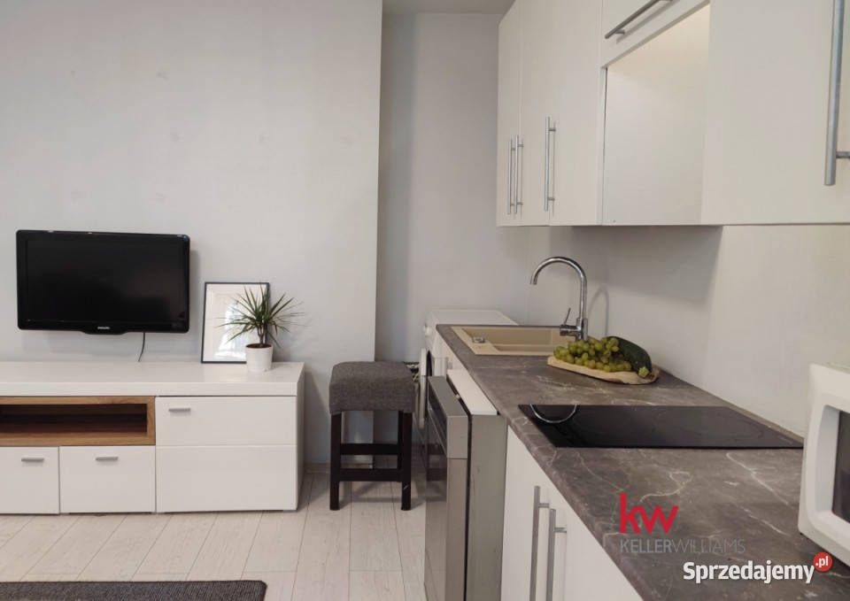 Mieszkanie do wynajęcia 22m2 2 pokoje Poznań Wynajem