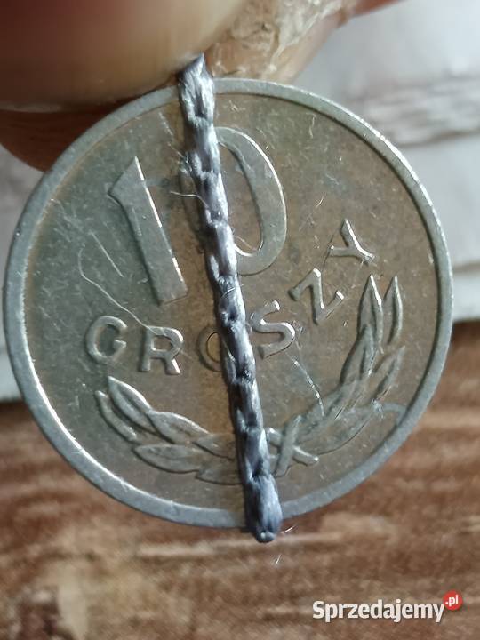 Sprzedam 10 gr 1981 r lekka skretka lubelskie Chełm