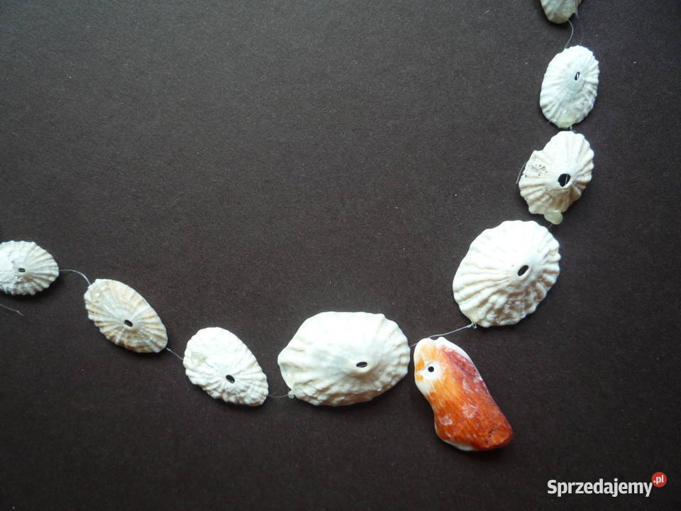 Nowe Korale Naszyjnik z muszelek Szczecin