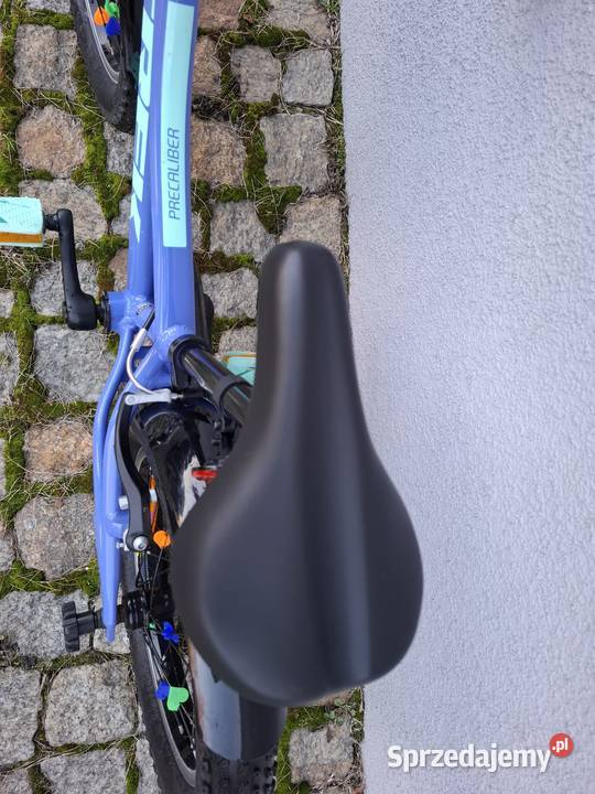 Rower Trek Precaliber 16 Babimost