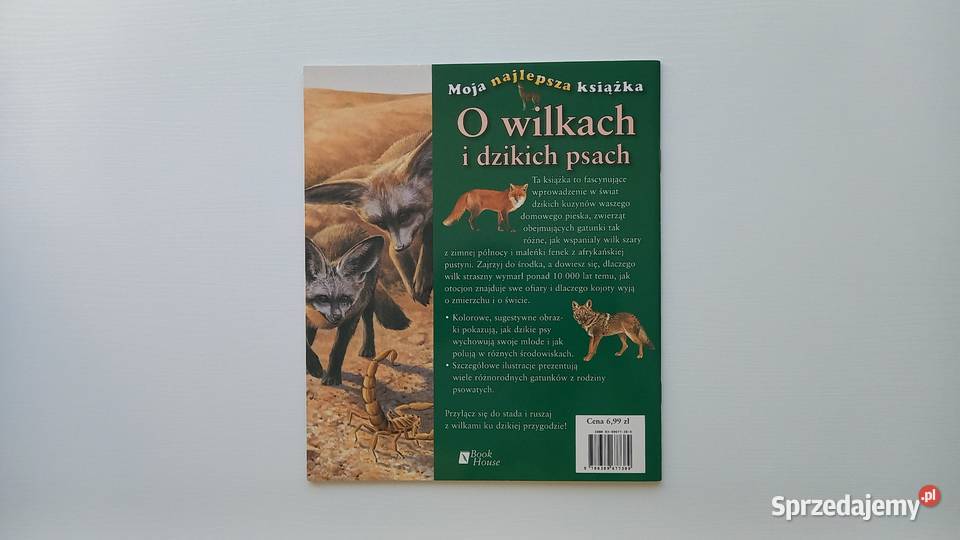 Edukacja przyroda O wilkach i dzikich psach Moja Kultura i Rozrywka