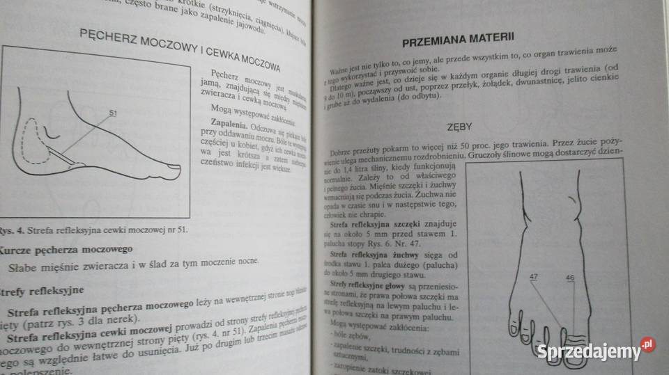 Apteka natury Poradnik zdrowia J Górnicka Kultura i Rozrywka Łódź