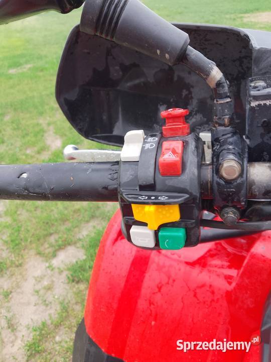 Can AM 400 Przytoczno