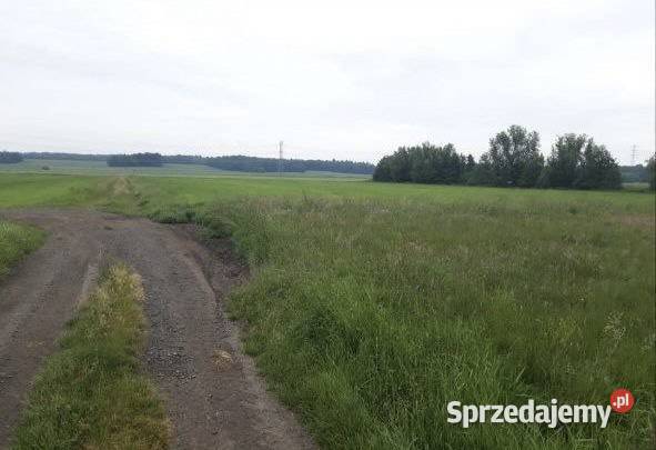 Działka budowlana Chmielno