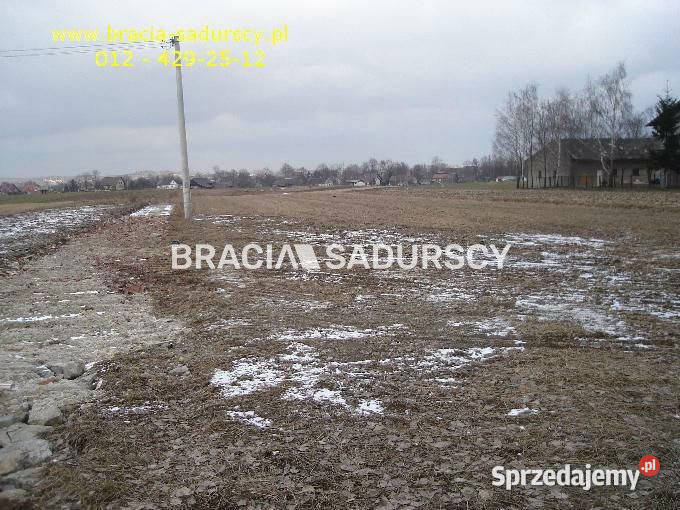 Działka 8900m2 Niewiarów Sprzedaż sprzedam