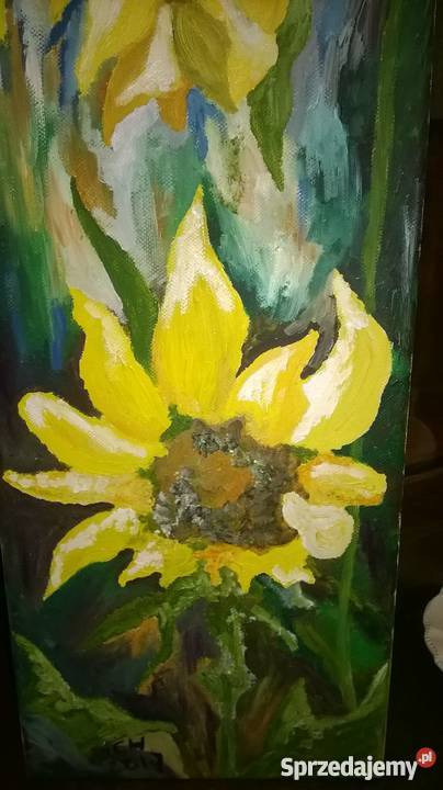 Obraz olejny moje słoneczniki Oleśnica
