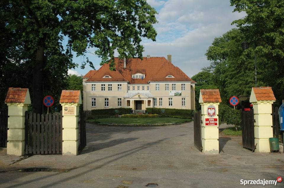 Os Zielone Wzgórze działki budowlane wielkopolskie Żabno