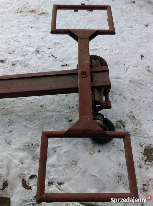 Motyleklaweta Sprzedażzamiana sprzedam