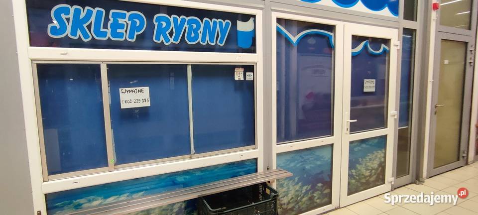 Bazar Szembeka Wynajem Warszawa