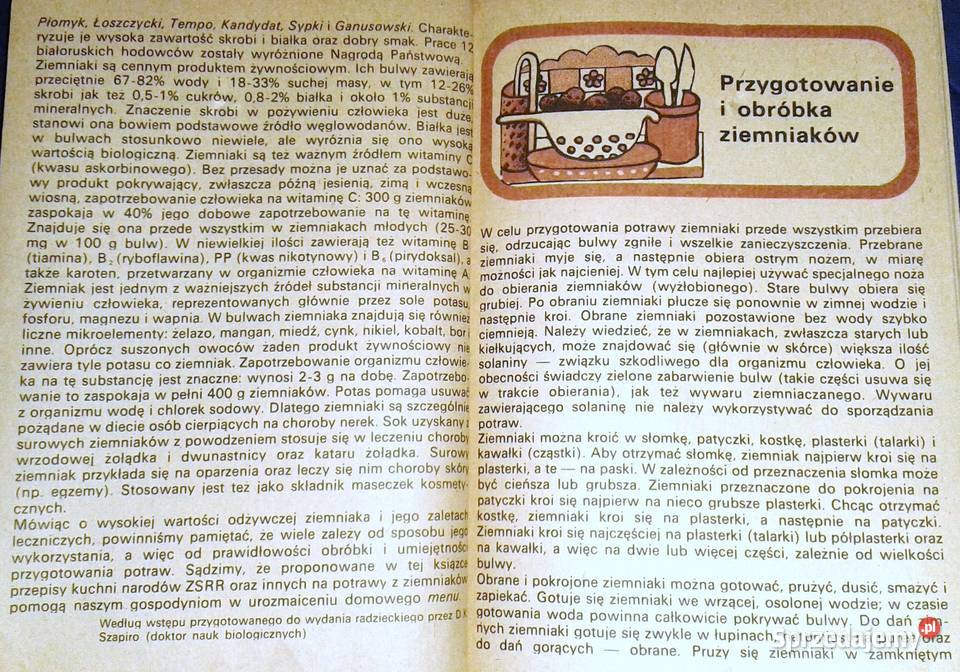 500 potraw z ziemniaków W Bołotnikowa L Rok wydania 1985 Kultura i Rozrywka Chełm