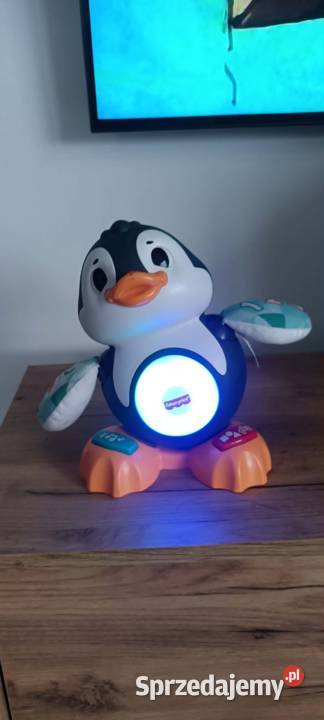 Linkimals Pingwin Fisher Nysa opolskie