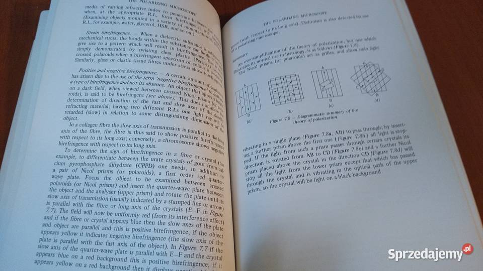 Modern microscopy elementary theory and practice pomorskie Gdańsk