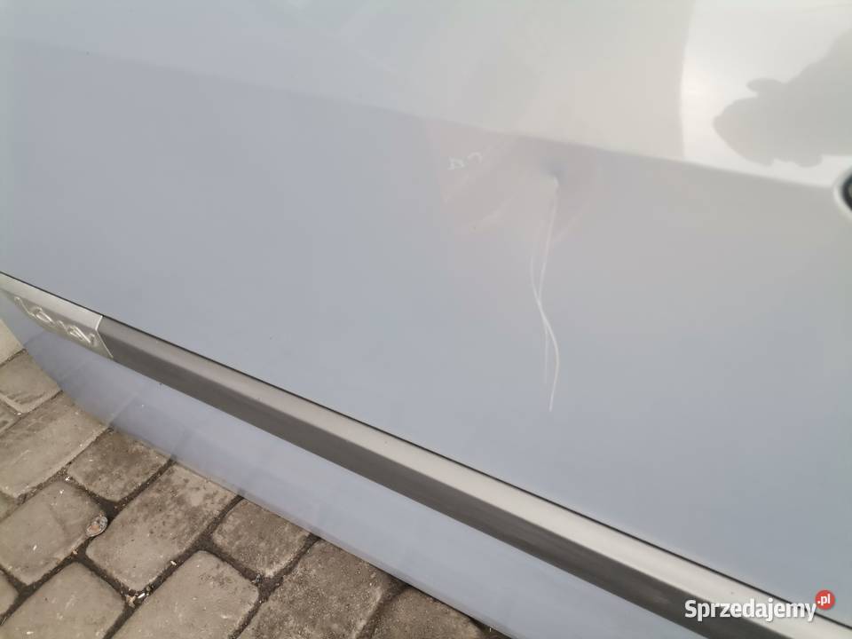 DRZWI LEWY PRZÓD RENAULT SCENIC 2 TEA19