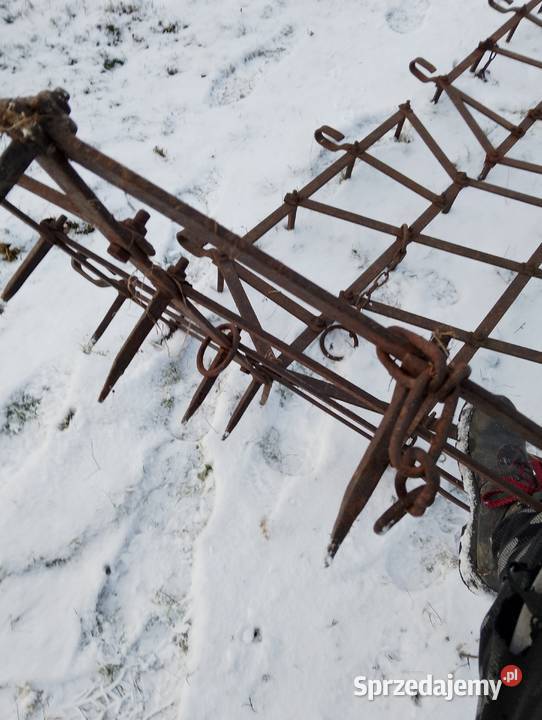 Brony 3 polowe Grudziądz Miedźno