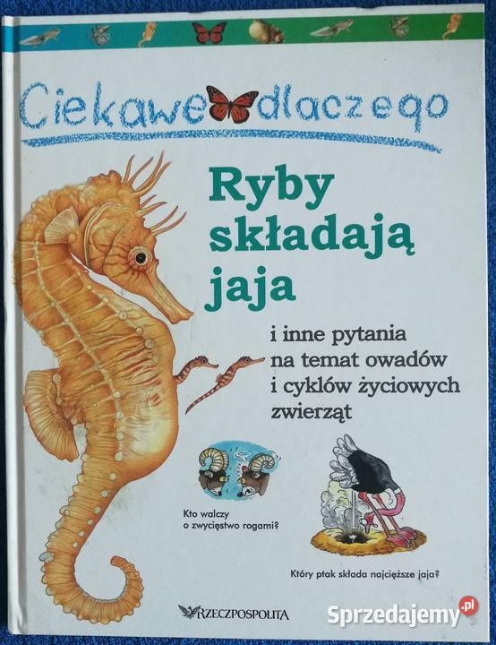 książeczki dzieci podlaskie Białystok sprzedam