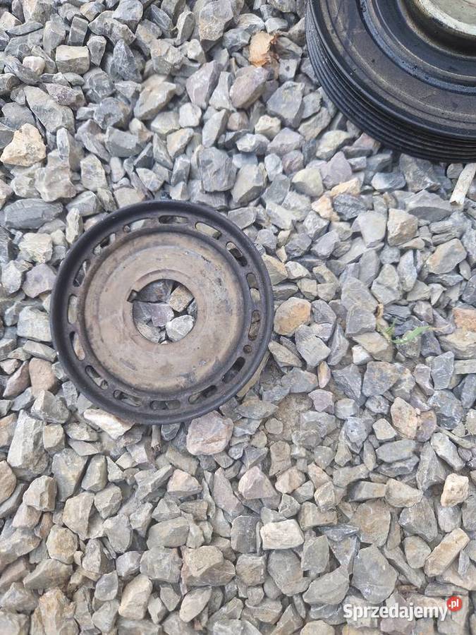 Pierścień czujnika położenia wału 20 HDI 136 osobowe Bieliny