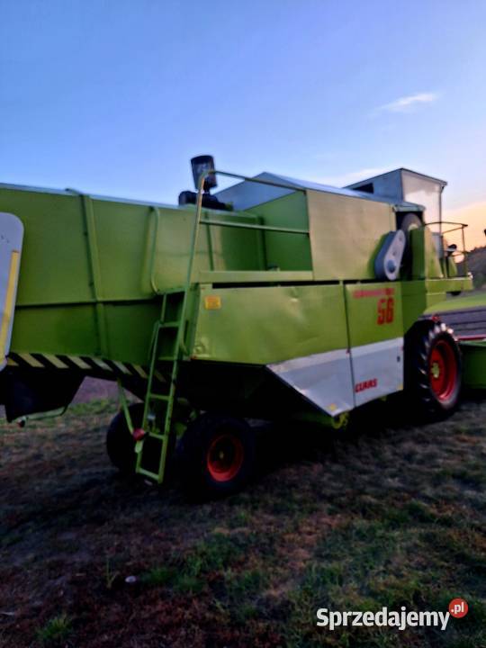 Claas Dominator 56 nieuszkodzony Zbożowe Kombajny Butrymowce