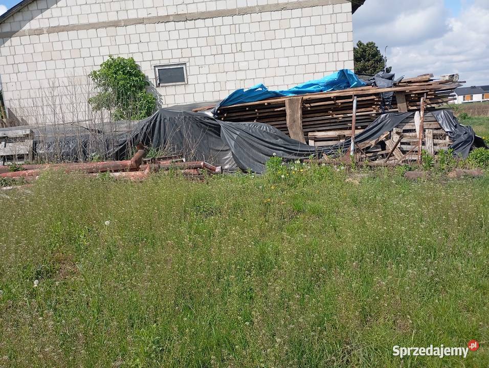 Drewno sezonowane Dys