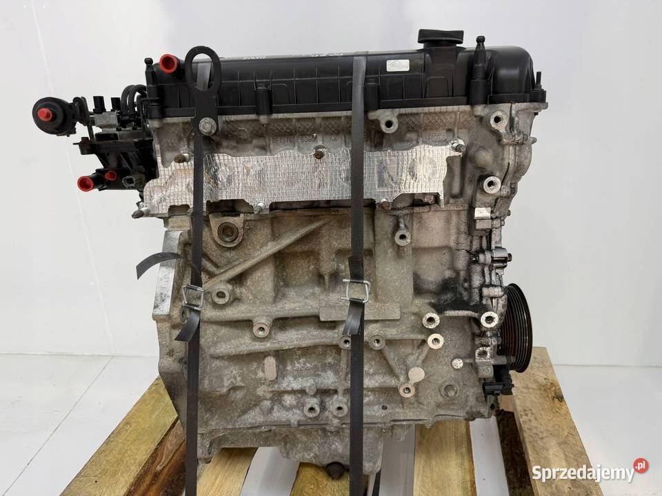 SILNIK QQDB Ford Focus II MK2 C C 18 16V 125 Chełm