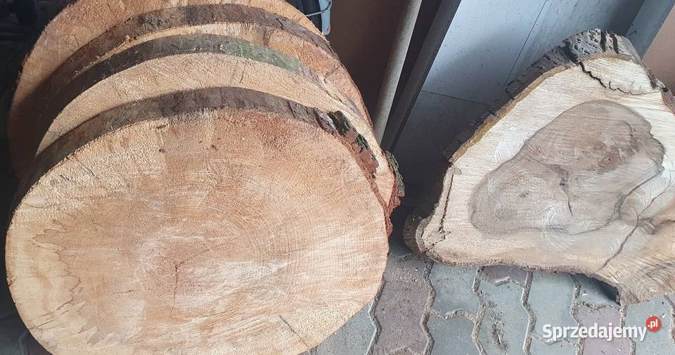 Plastry drzewa olcha Pakość