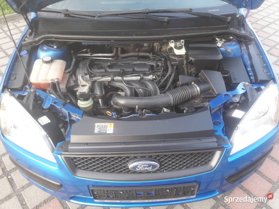 Sprzedam Ford Focus 14 Benzyna Moc 59 kW80 Niski 85KM Gniezno
