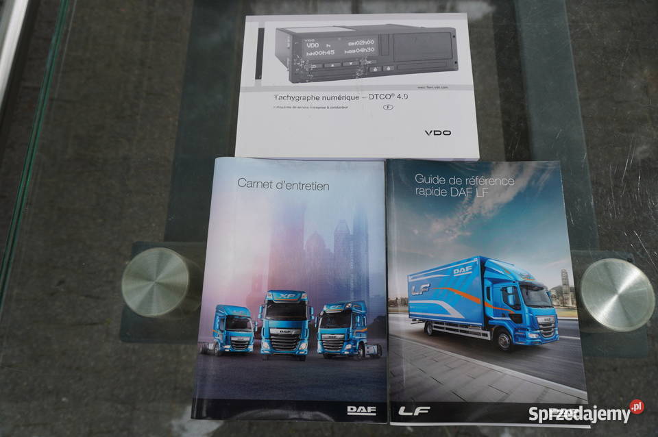 DAF LF 290 Kontener 21 EPAL 2021228418 bezwypadkowy Kraków