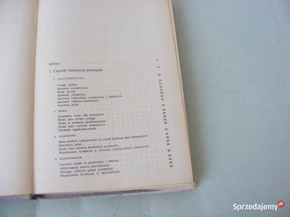 Geografia przemysłu Polski Leszczycki Geografia dolnośląskie
