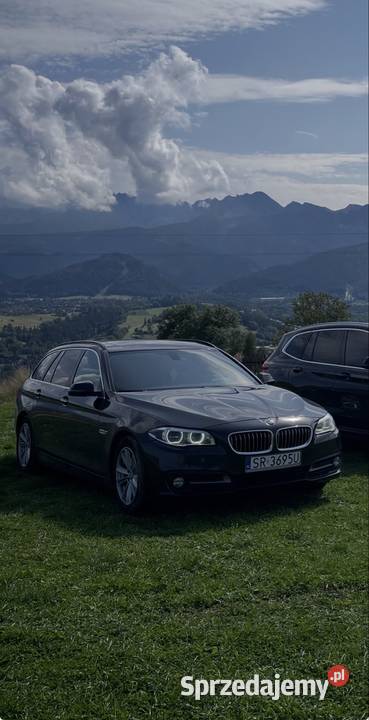 BMW Serii 5 520d F11 Koniec 2016 Panorama Skóra hak