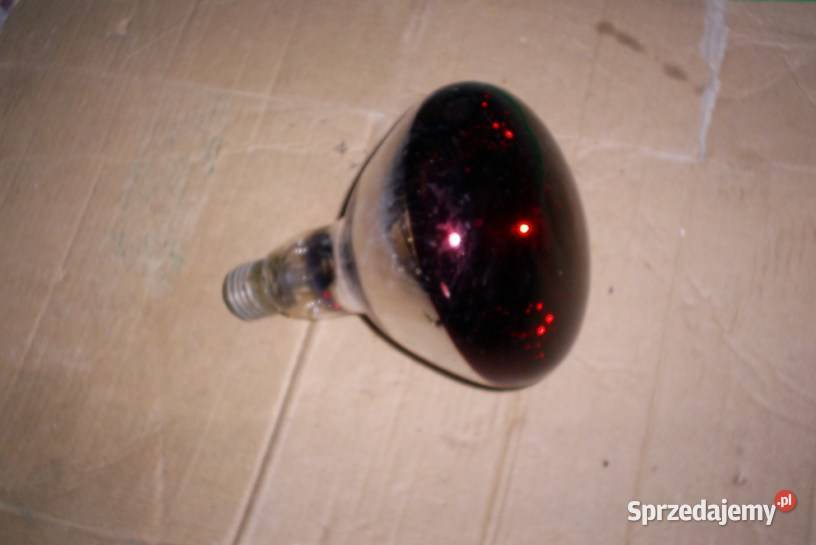 Żarówka KWOKA Promiennik Lampa Grzewcza 230v Olkusz