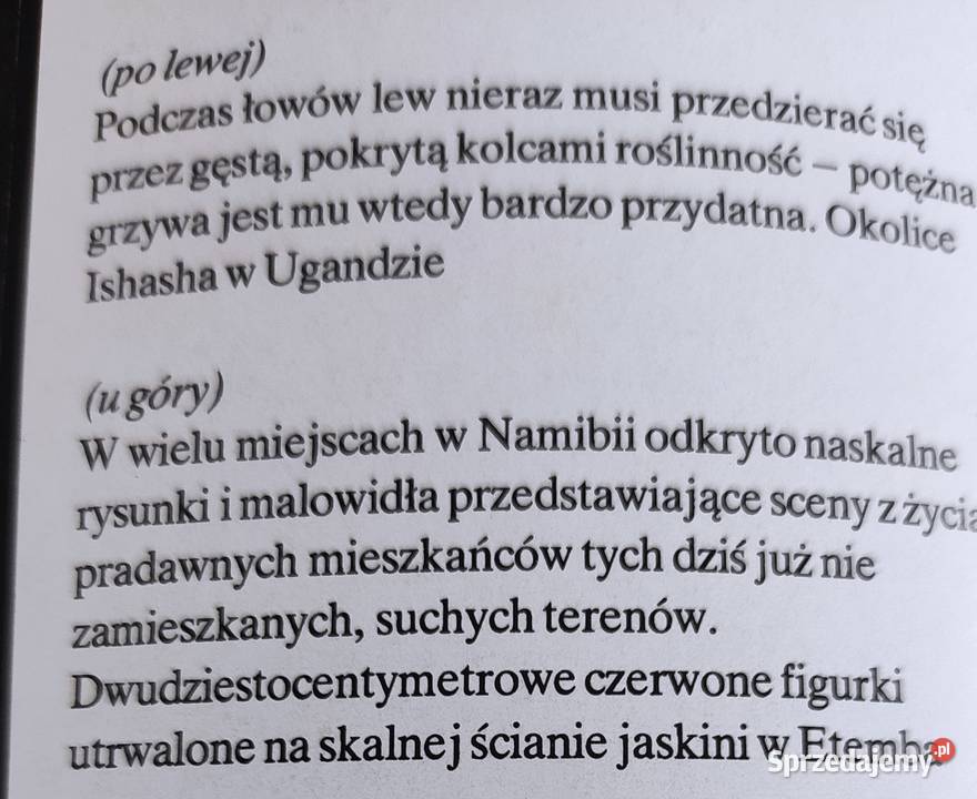 Album Lew nie jest królem zwierząt sprzedam