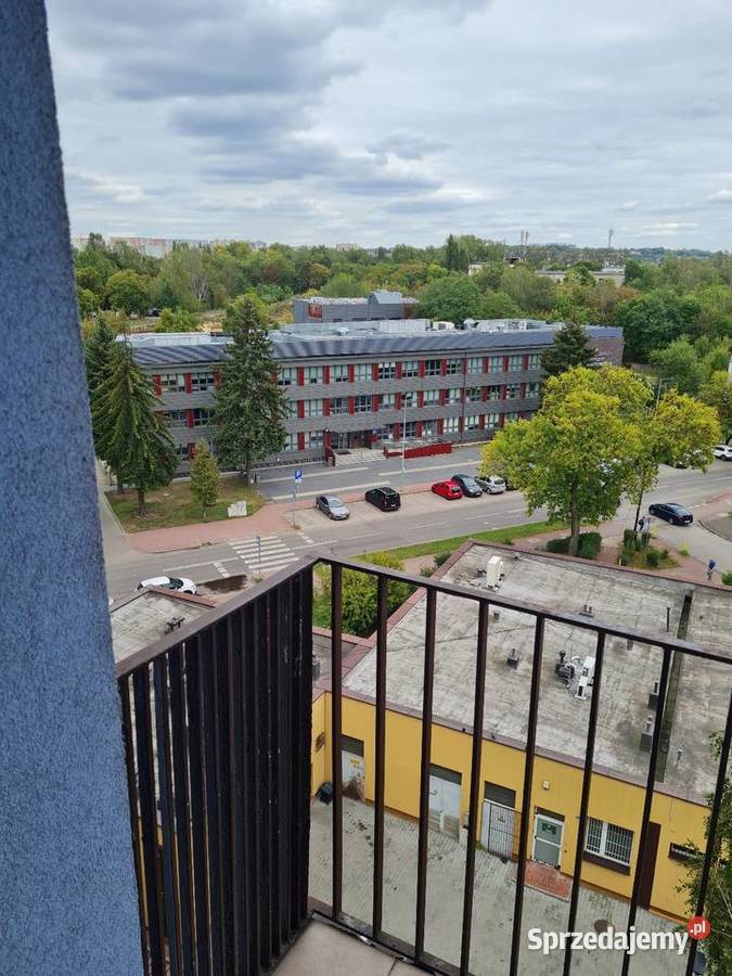 Wynajem mieszkania Wynajem Sosnowiec sprzedam