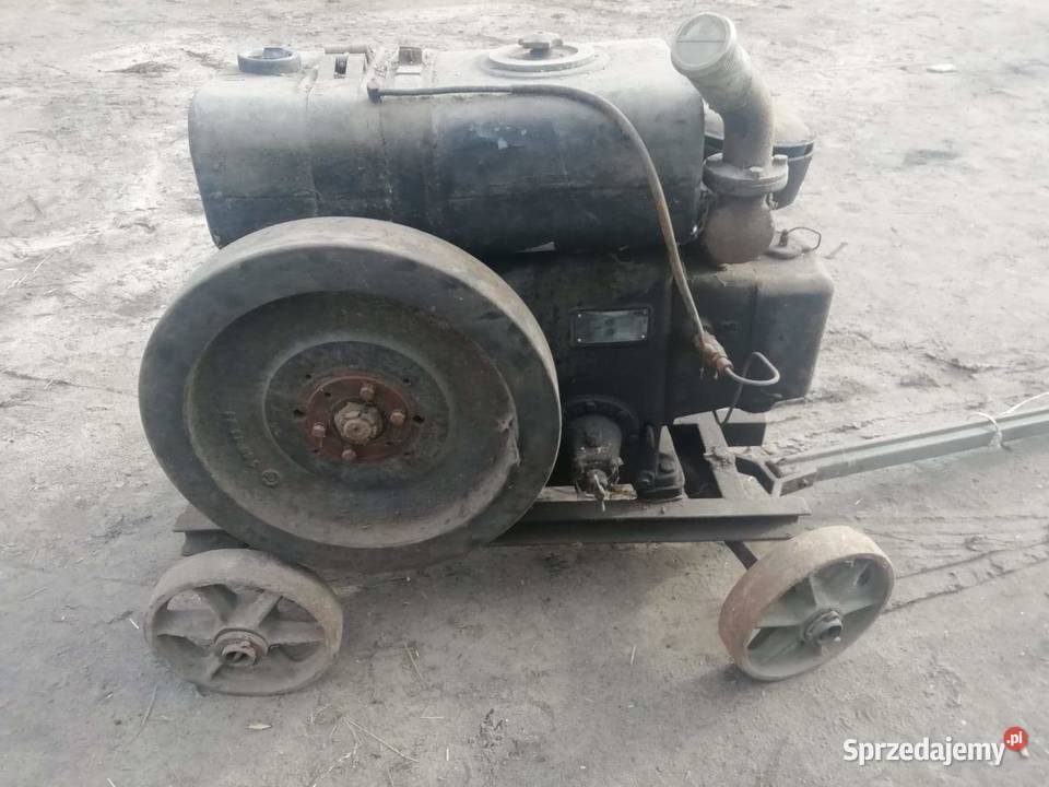 Es 60 esiak papaj lubelskie Radzyń Podlaski