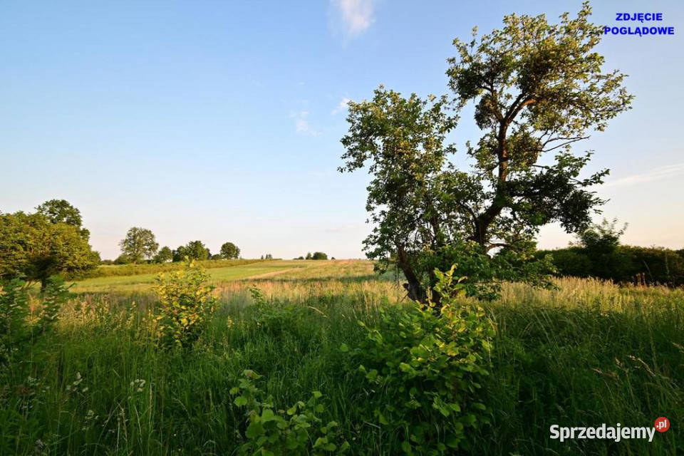 Piotrowice działka 20 arów w doskonałej Sprzedaż